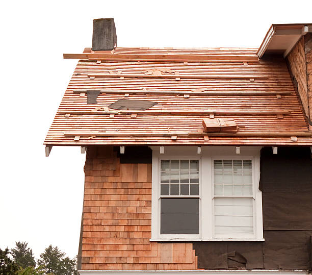 Best Historical Building Siding Restoration  in Antioch, CA